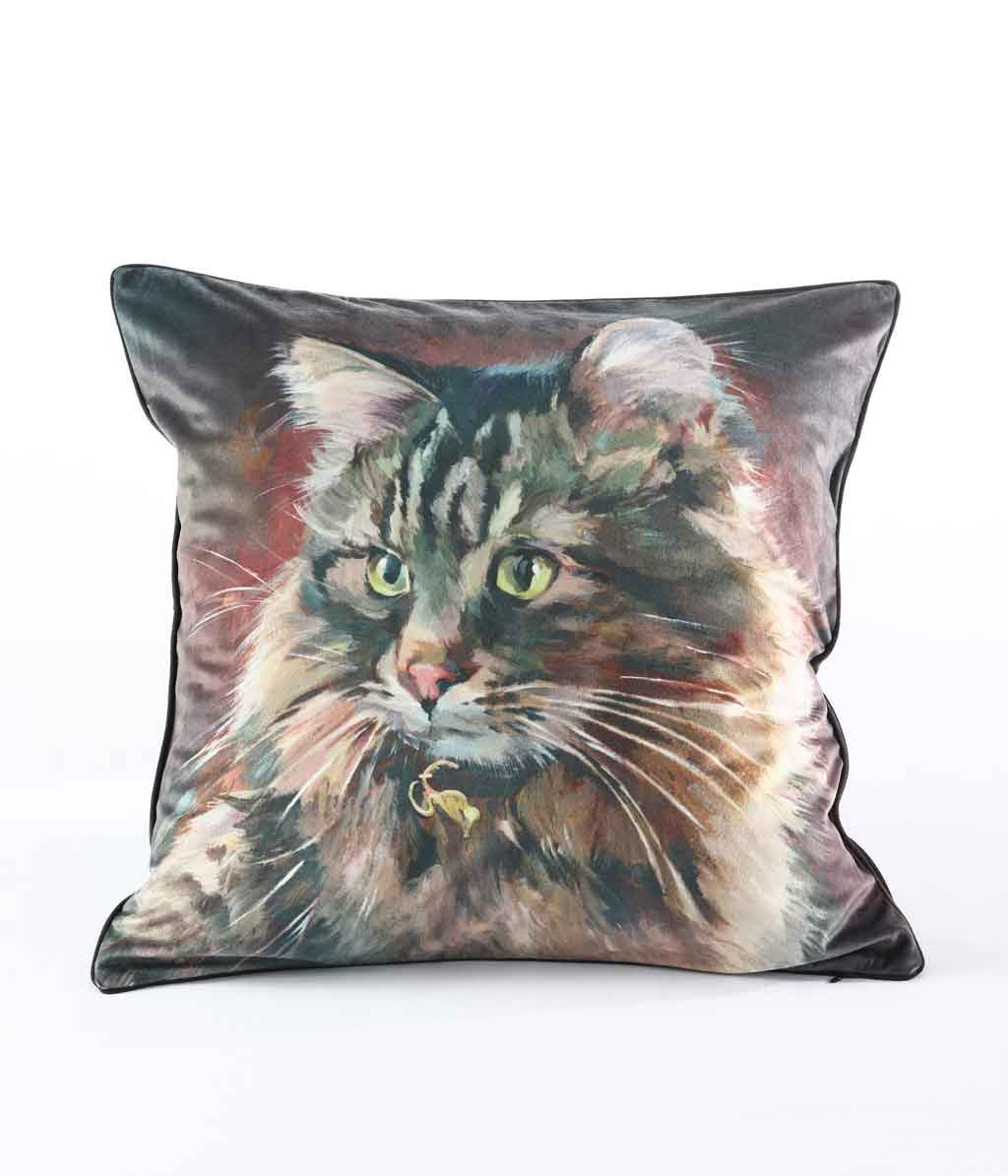 Pillow with a cat design on a white background