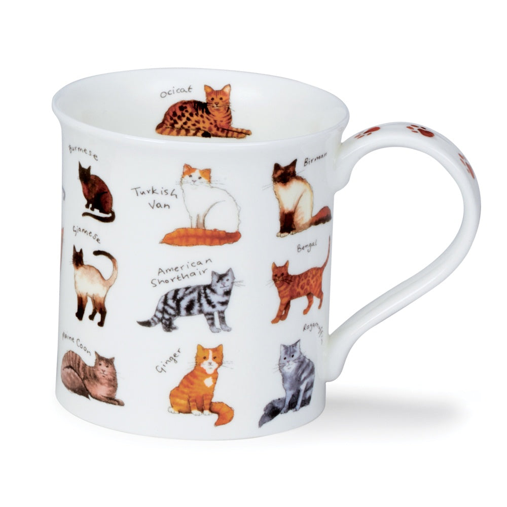 Dunoon Bute Animal Breeds Cats mug with illustrated cat breeds and their names