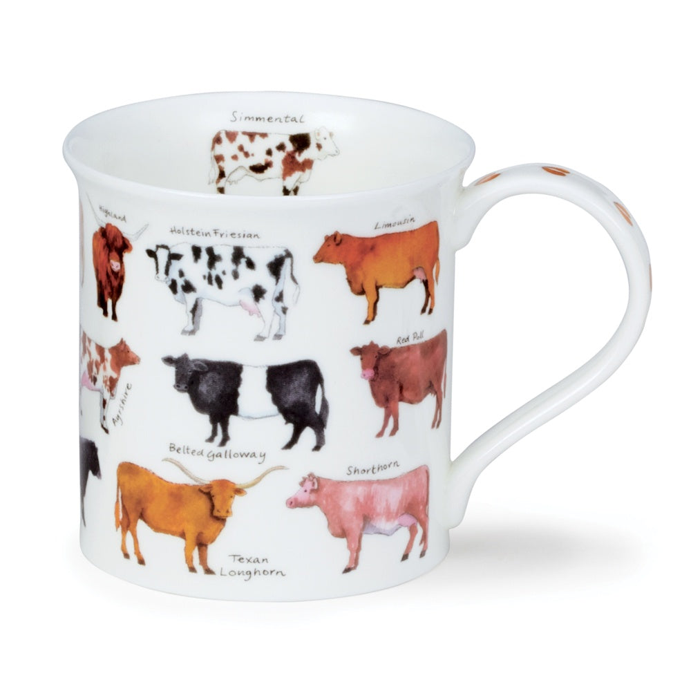 Dunoon Bute Animal Breeds mug decorated with illustrated cattle breeds and their names