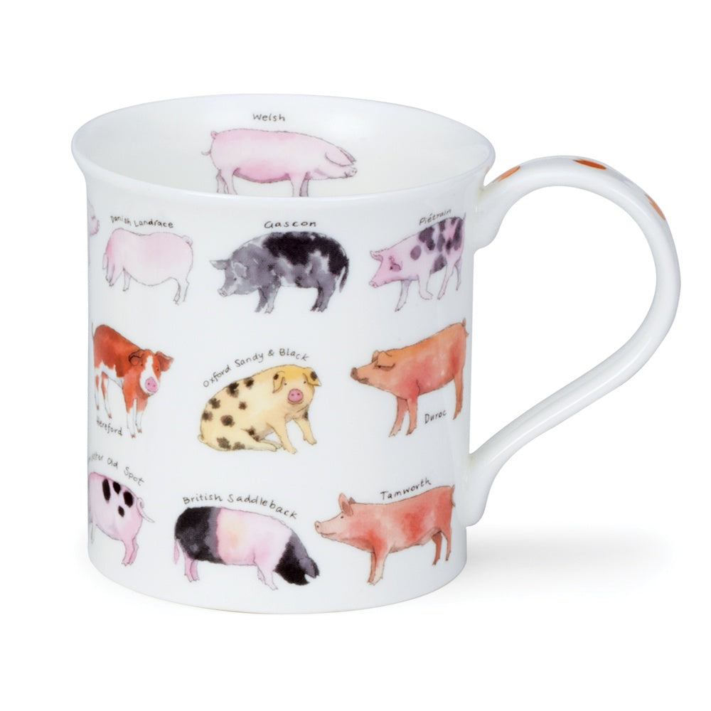 Dunoon Bute Animal Breeds Pig mug with illustrated pig breeds and their names