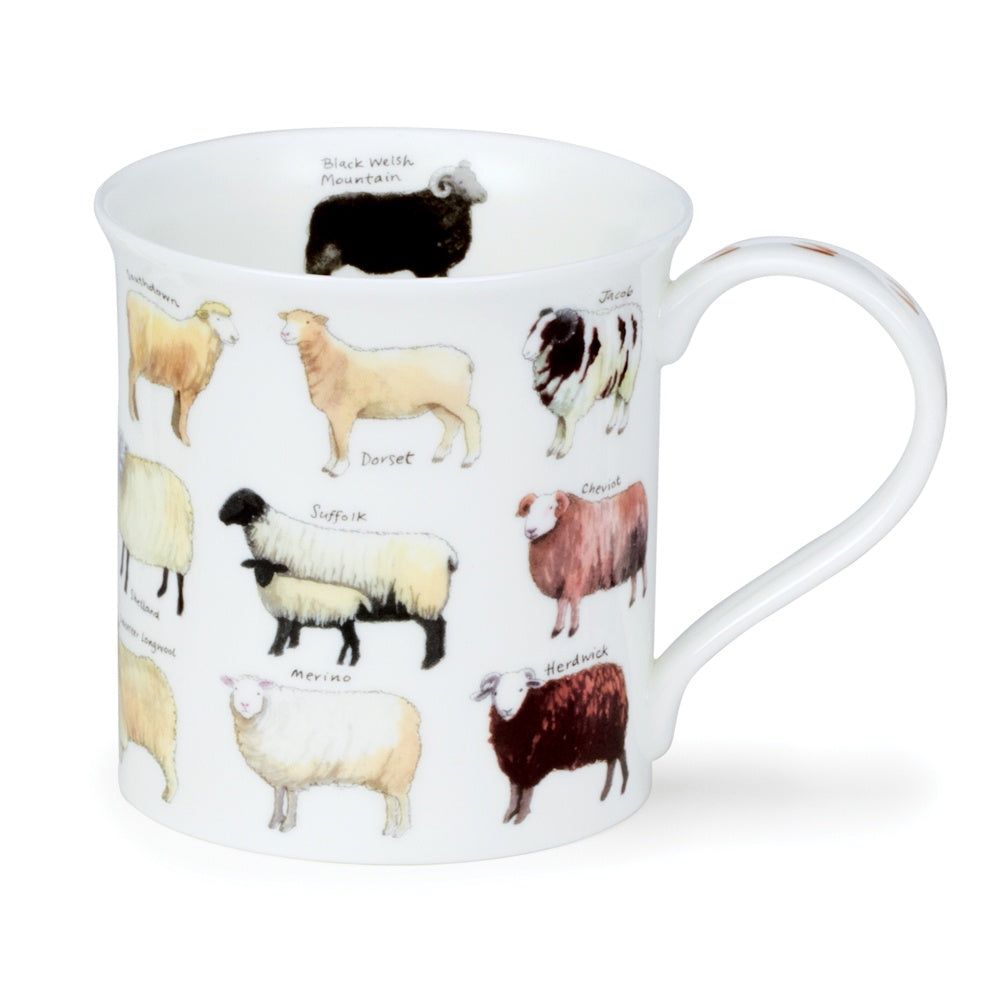 Dunoon Bute Animal Breeds Sheep mug with illustrated sheep breeds and their names