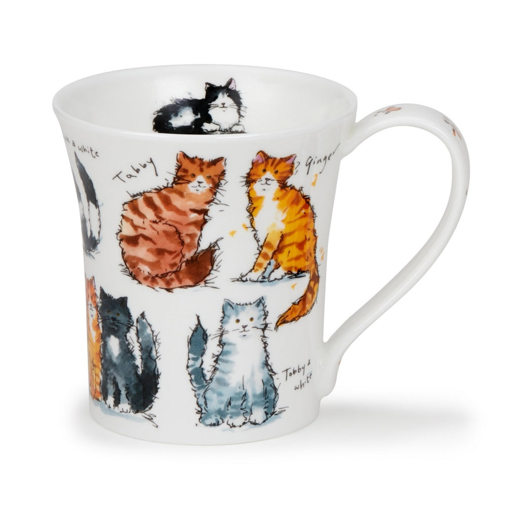 Dunoon Jura Messy Cats Mug 210ML