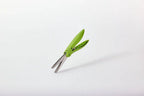 Herb Shears