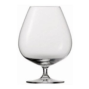 Schott Zwiesel Mondial brandy glass with a wide bowl and a short stem