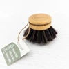 Ecovask replacement dish brush head with horse hair bristles and a cork top