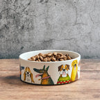 A white ceramic pet bowl filled with dry kibble, featuring colorful illustrated dogs around the exterior, set on a wooden surface against a textured gray wall.