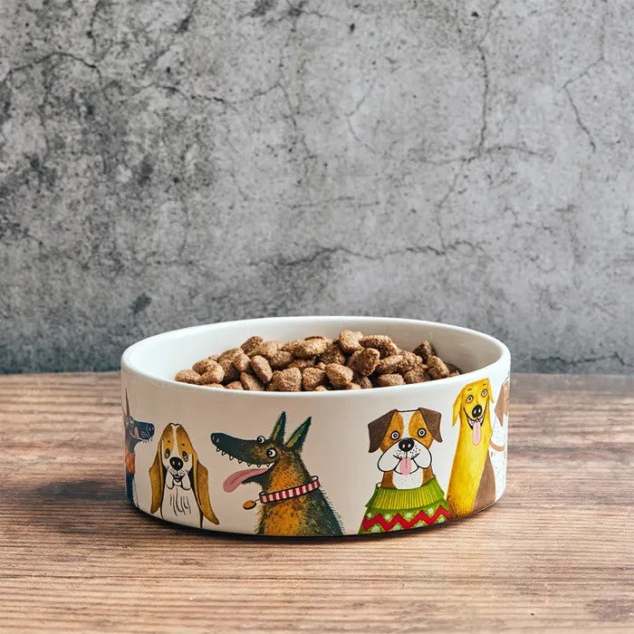 A white ceramic pet bowl filled with dry kibble, featuring colorful illustrated dogs around the exterior, set on a wooden surface against a textured gray wall.