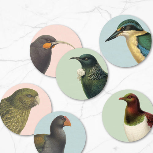100% NZ Hushed Birds coaster set with illustrated native bird portraits on pastel backgrounds