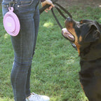 White Magic Collapsible Travel Pet Bowl