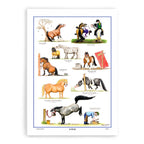 Samuel Lamont The Grass Is Always Greener tea towel with illustrated horse and rider comic panels