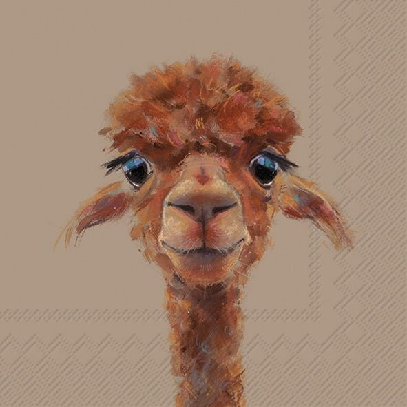 IHR Luncheon Alpaca Fernando