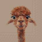 IHR Luncheon Alpaca Fernando