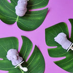 Zoku Safari Pop Moulds