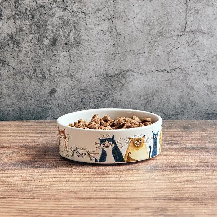 Bia Wags to Whiskers cat bowl in cream with illustrated cats, filled with cat food, on a wooden table