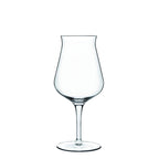 Luigi Bormioli beer taster glass with a wide bowl and a stem