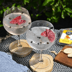 Schott Zwiesel Gin & Tonic Glass Set 2