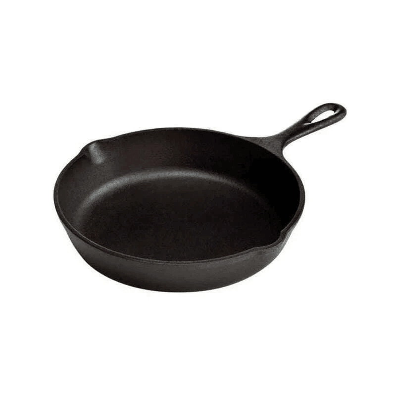 Lodge Cast Iron Skillet